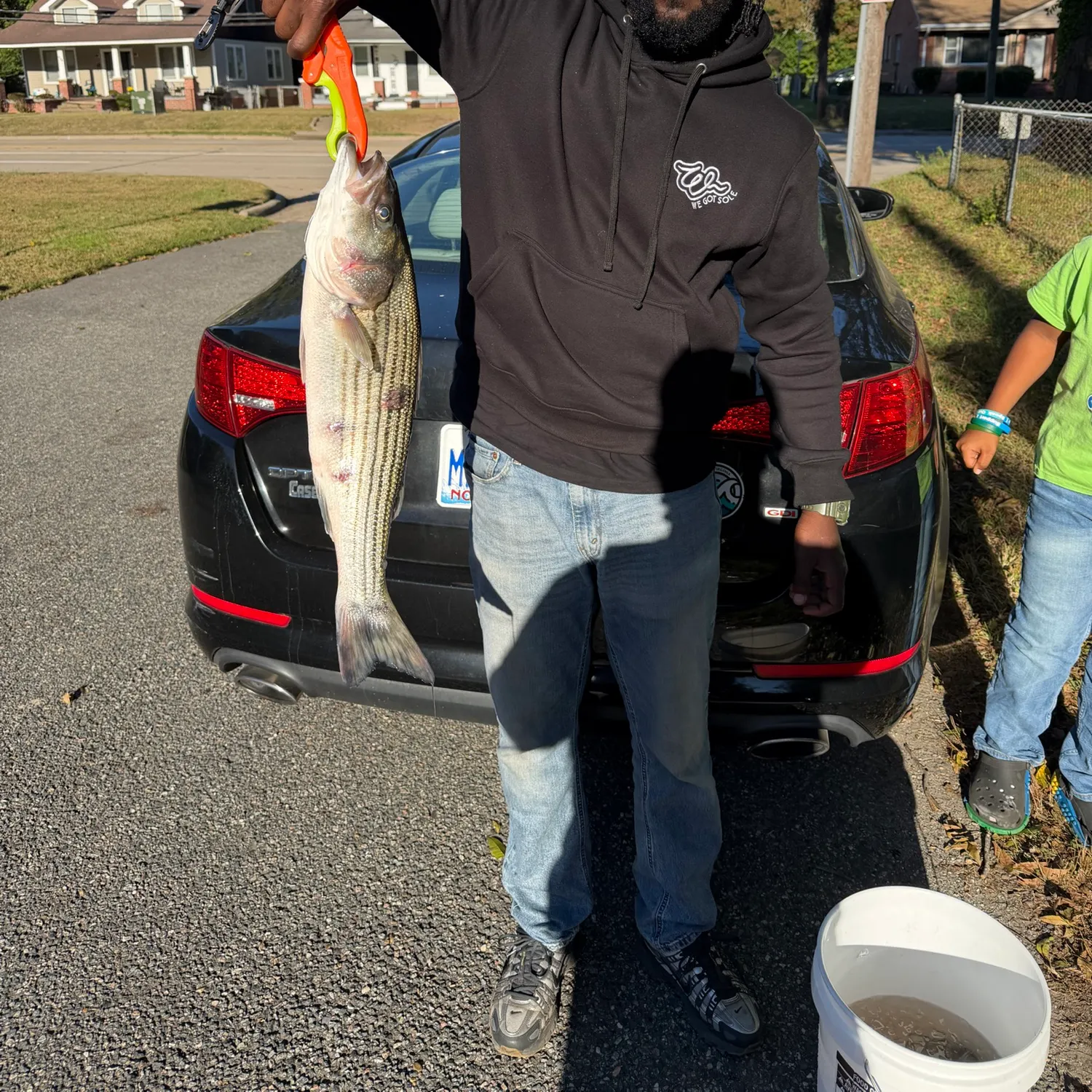 Striped bass caught on Fishbrain