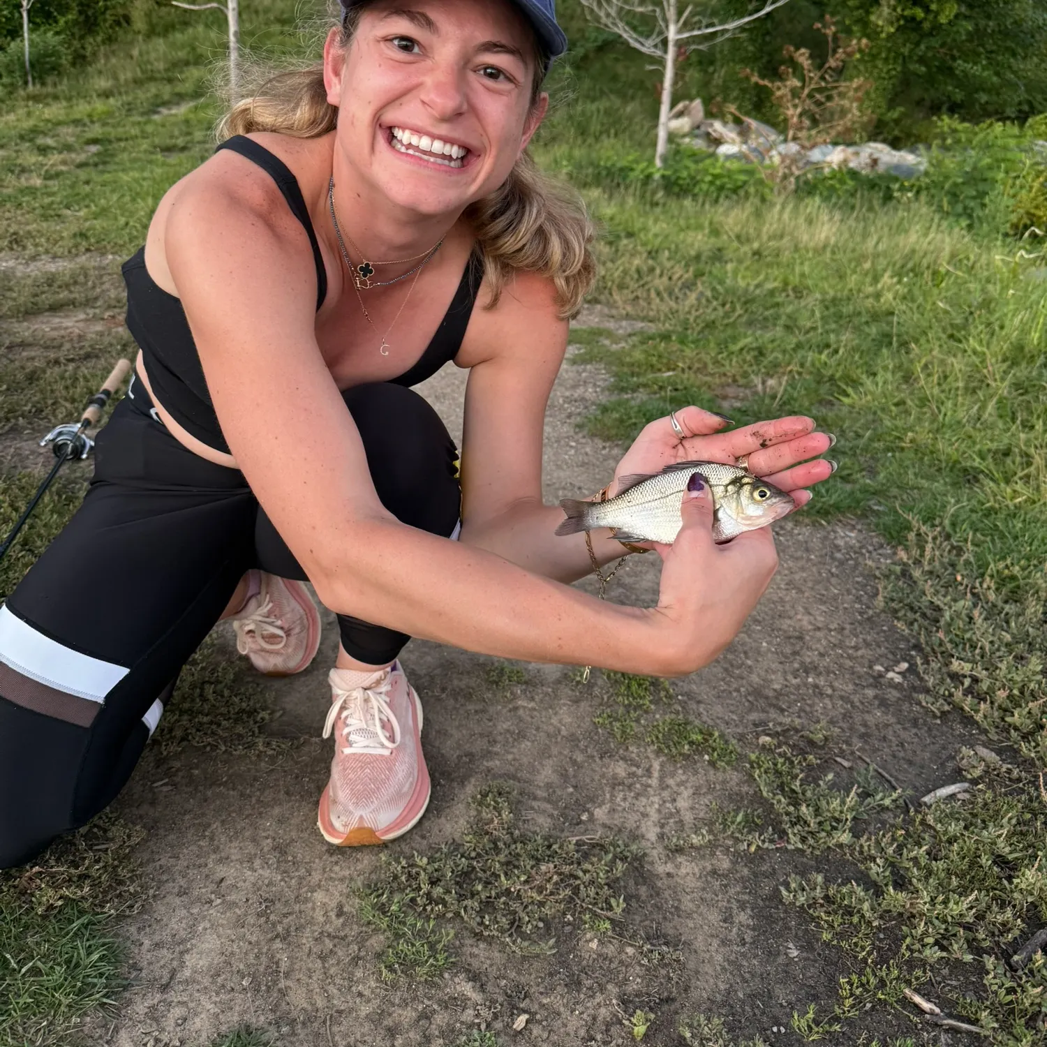 White perch caught on Fishbrain