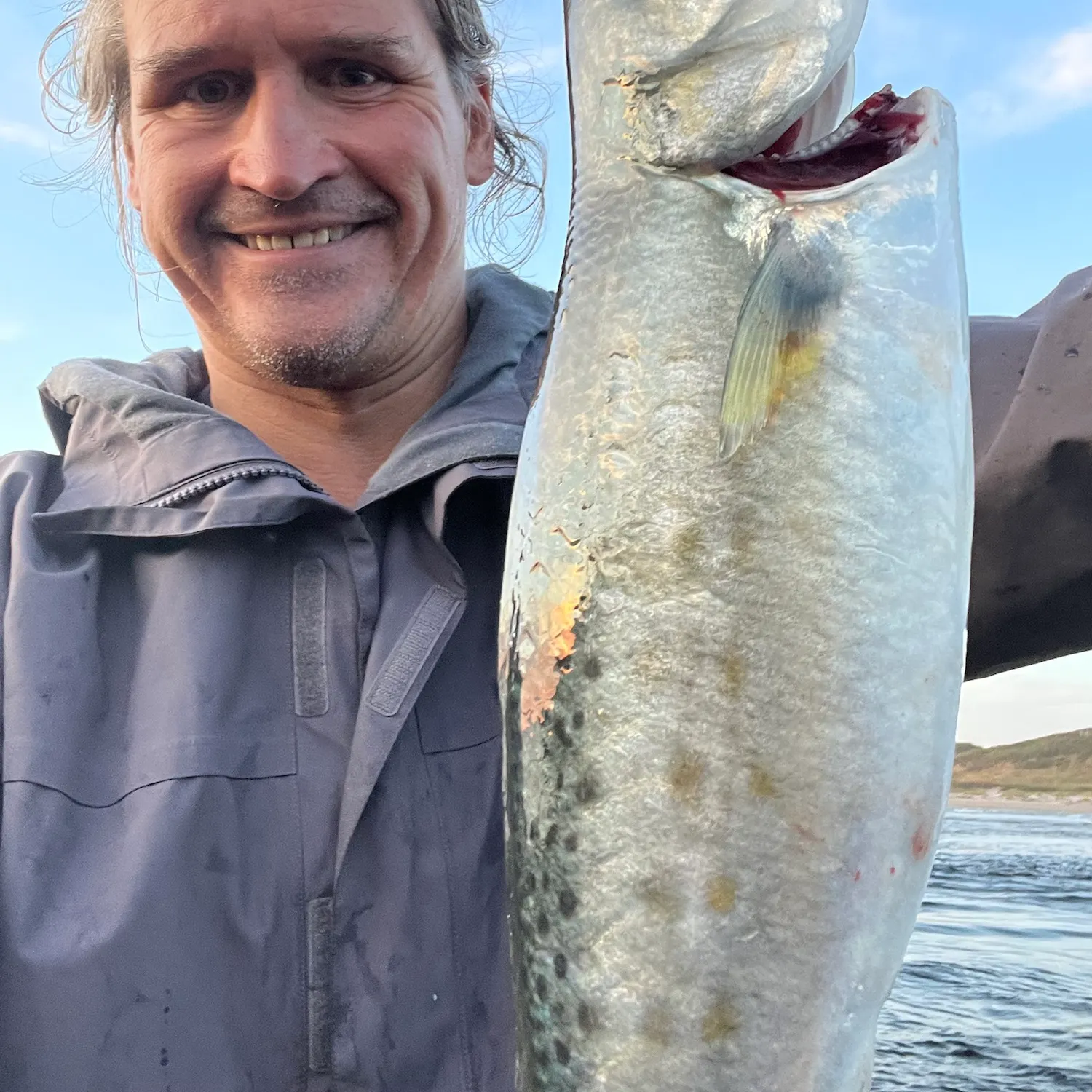 Eastern Australian salmon caught on Fishbrain