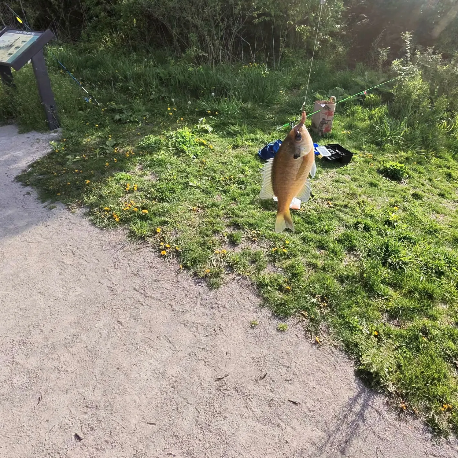 catch