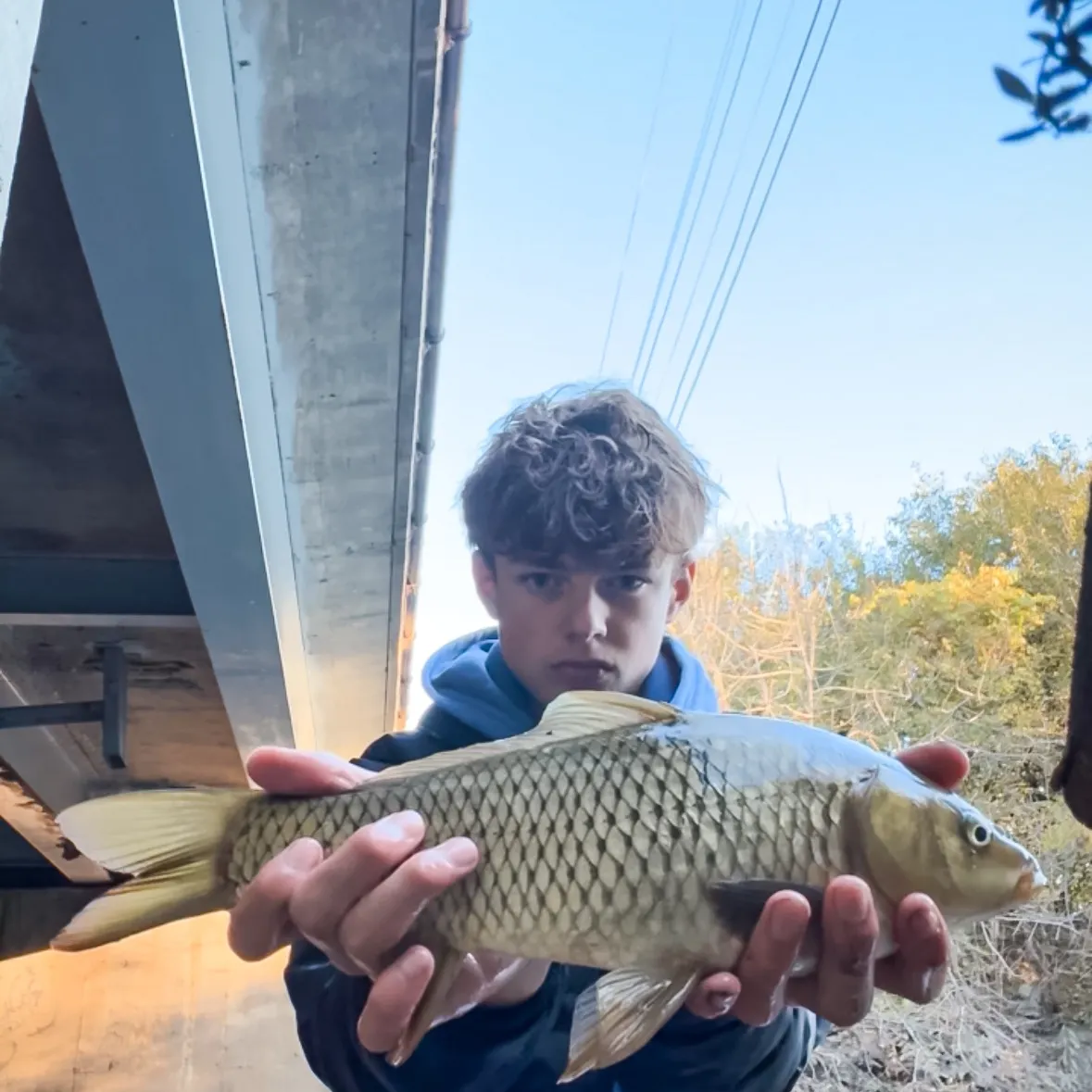 The most recent F1 carp catches on Fishbrain