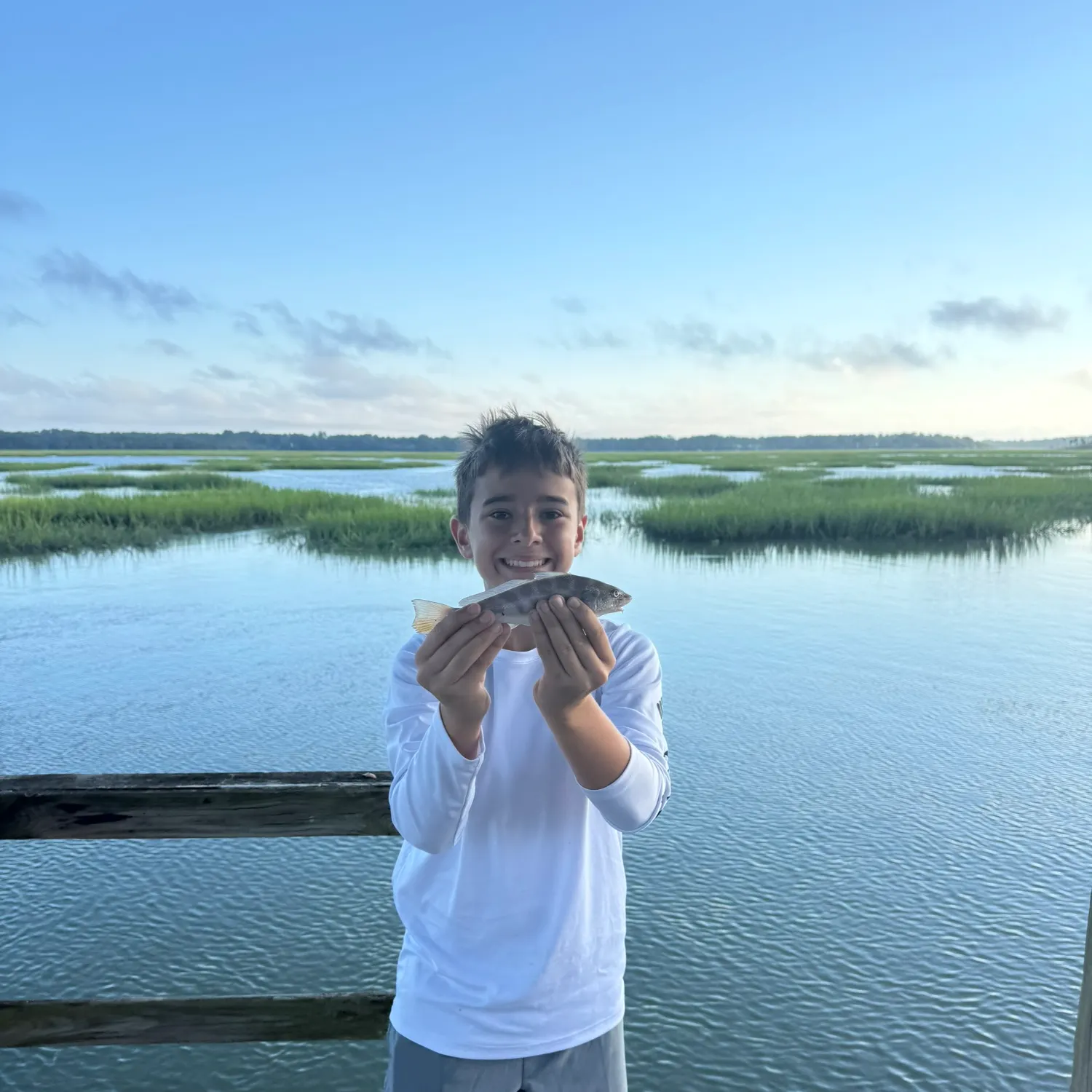 Southern kingcroaker caught on Fishbrain