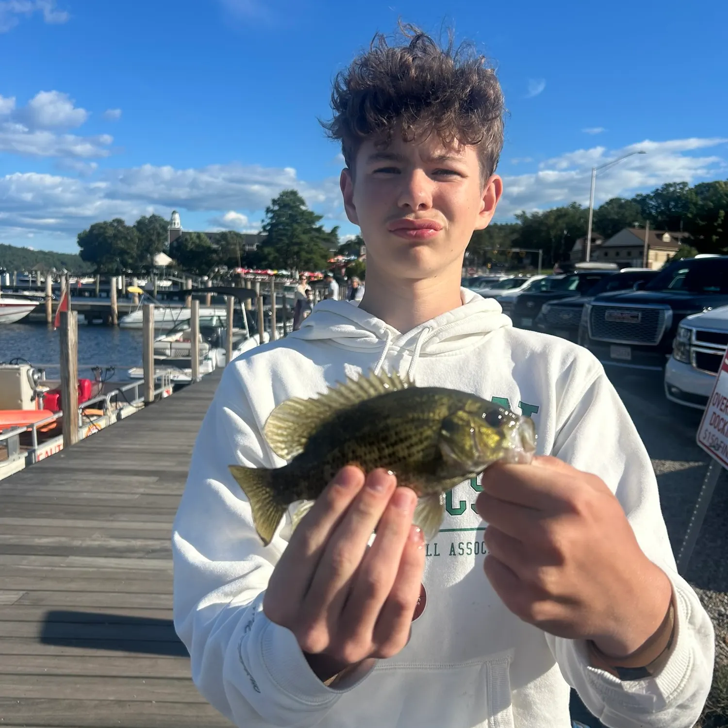 Rock bass caught on Fishbrain