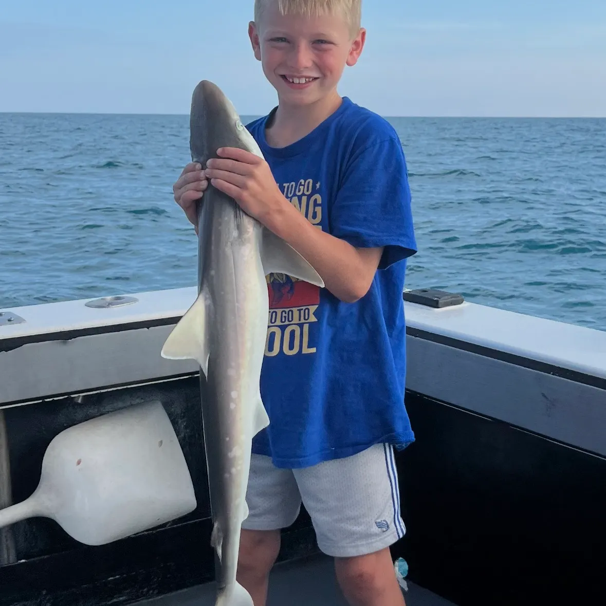 Whitetip reef shark caught on Fishbrain