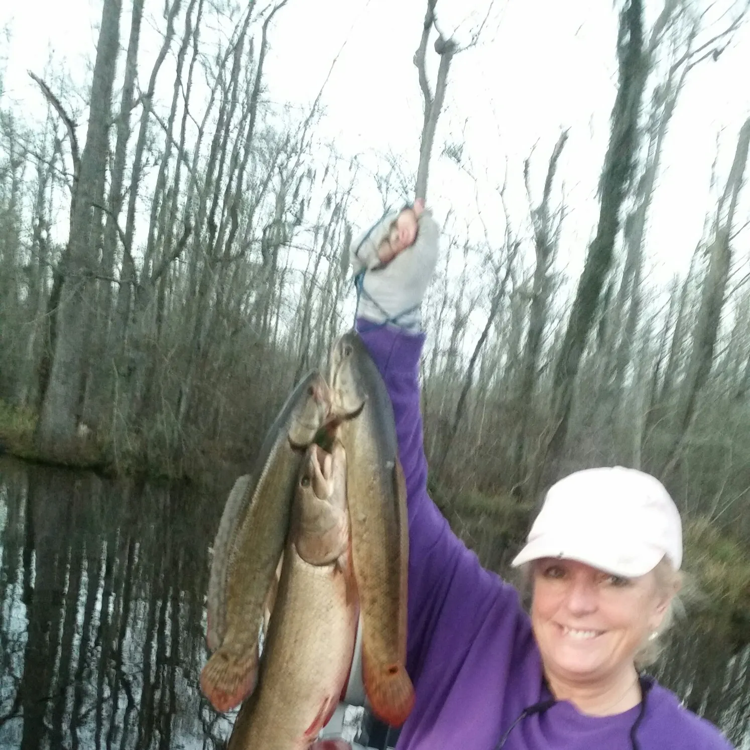 Eyetail bowfin caught on Fishbrain