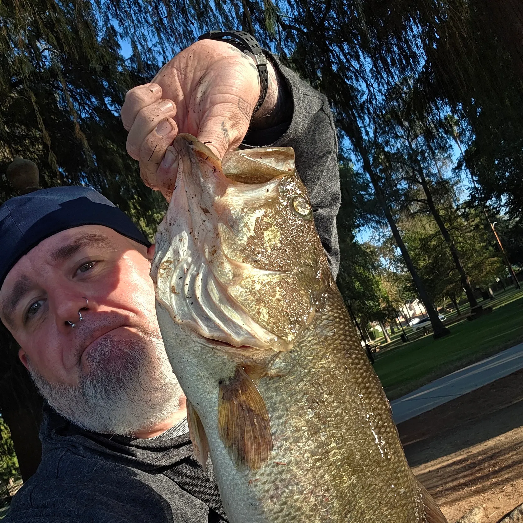 Largemouth bass caught on Fishbrain