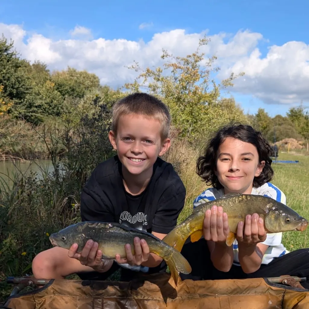 The most recent Leather carp catches on Fishbrain