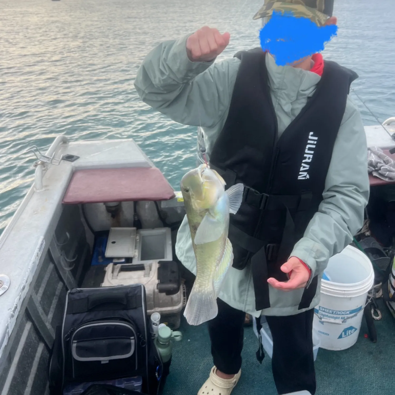 The most recent Baldchin groper catches on Fishbrain