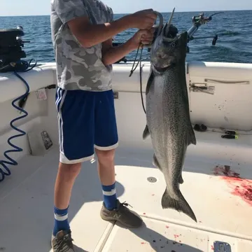 The most recent Chinook salmon catches on Fishbrain