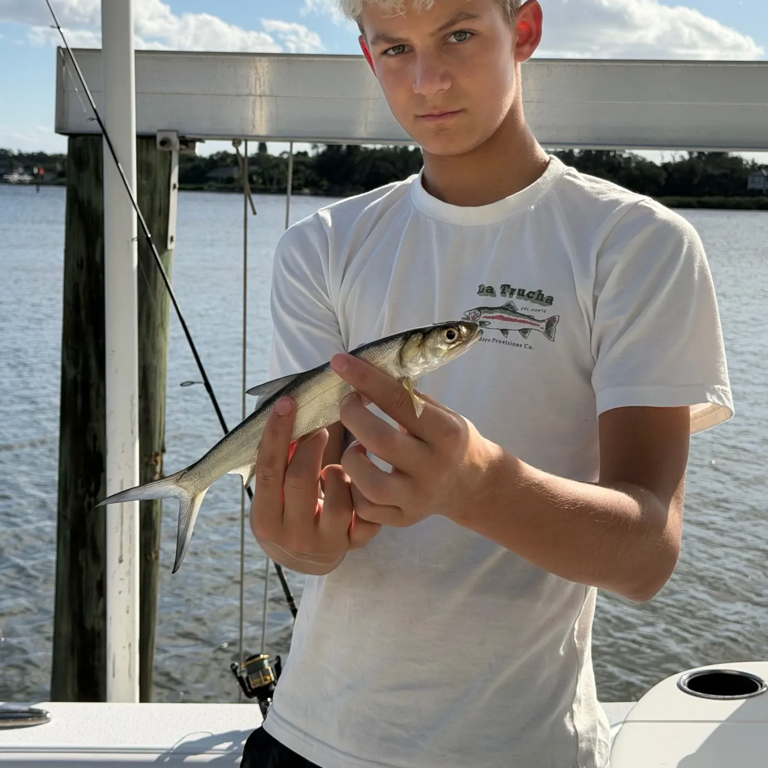 Ladyfish caught on Fishbrain