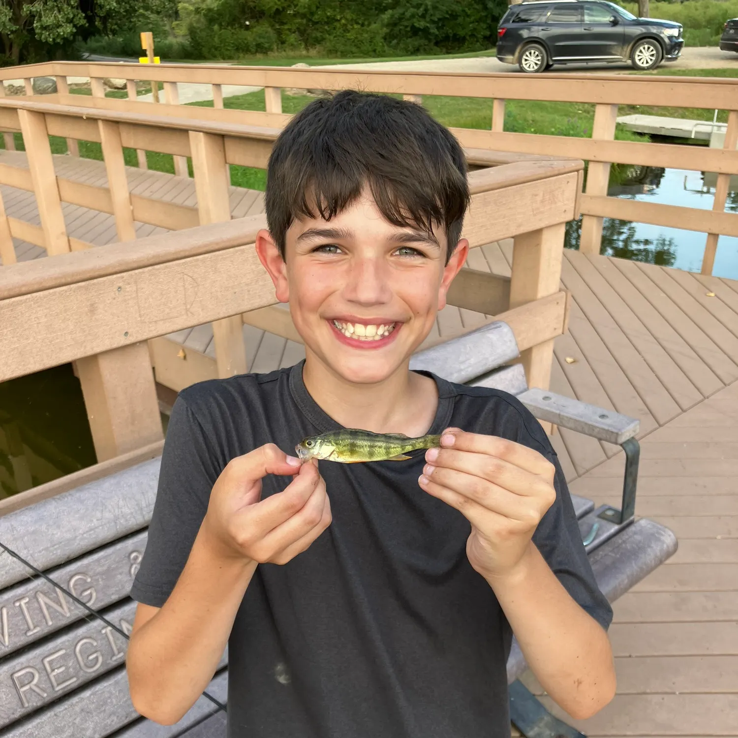 European perch caught on Fishbrain
