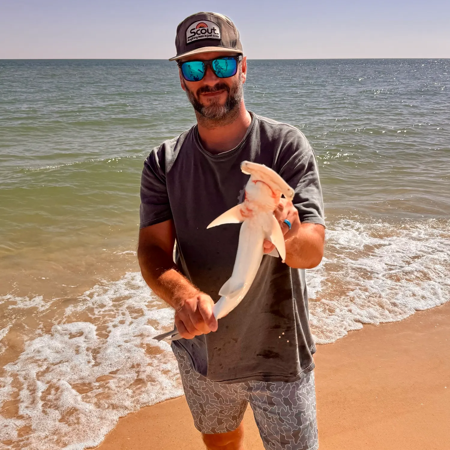 Bonnethead shark caught on Fishbrain