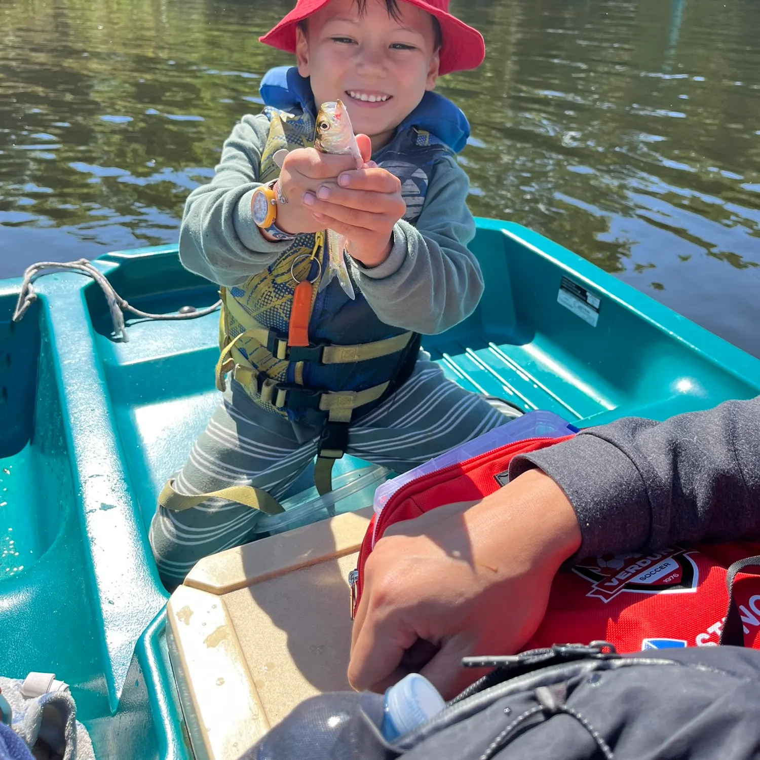 Smallmouth bass caught on Fishbrain
