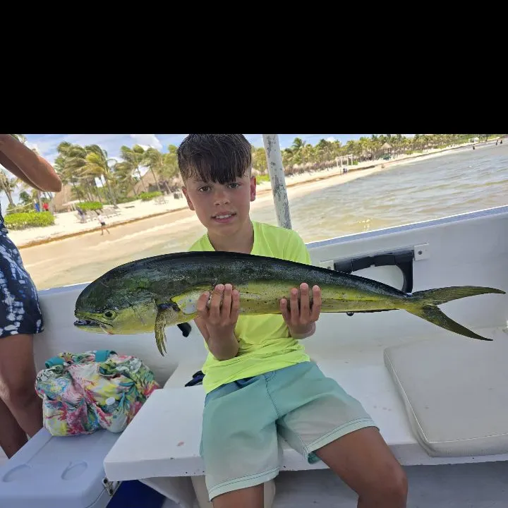 Fish caught on Fishbrain