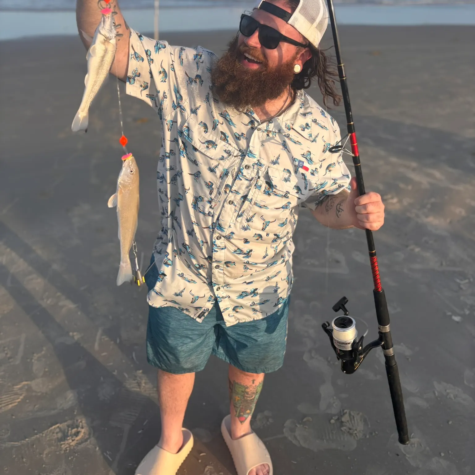 The most recent Gulf kingcroaker catches on Fishbrain