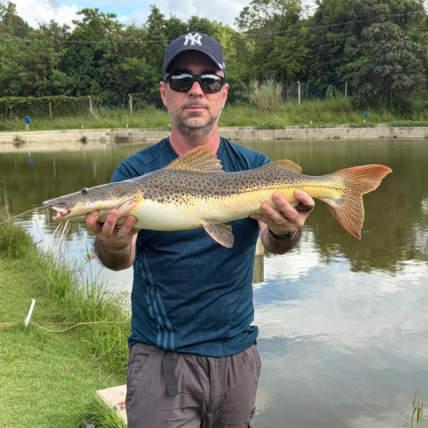 The most recent Redtail catfish catches on Fishbrain