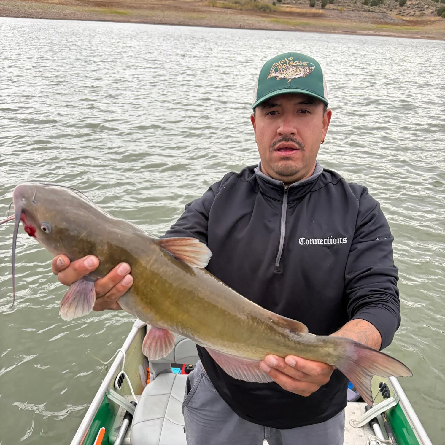 Channel catfish caught on Fishbrain