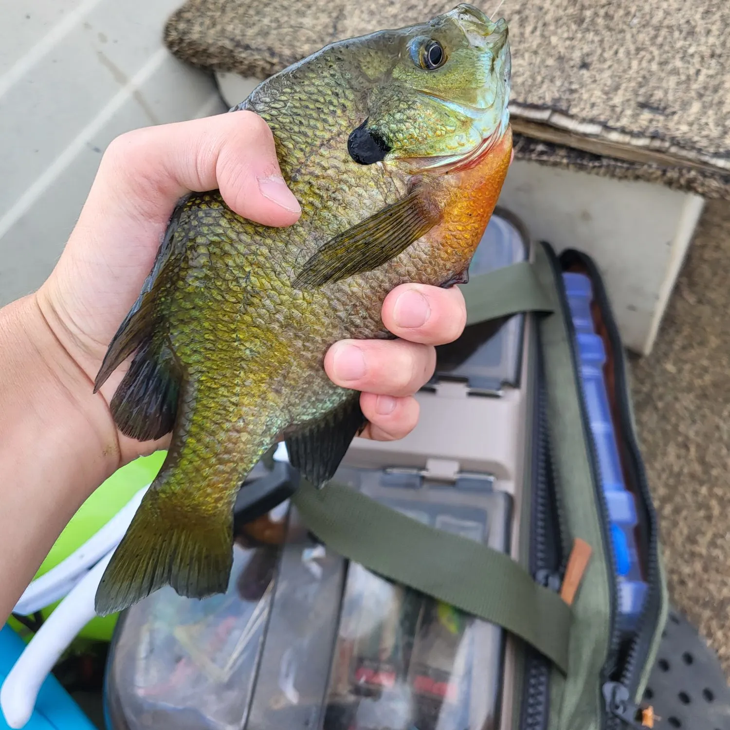 catch