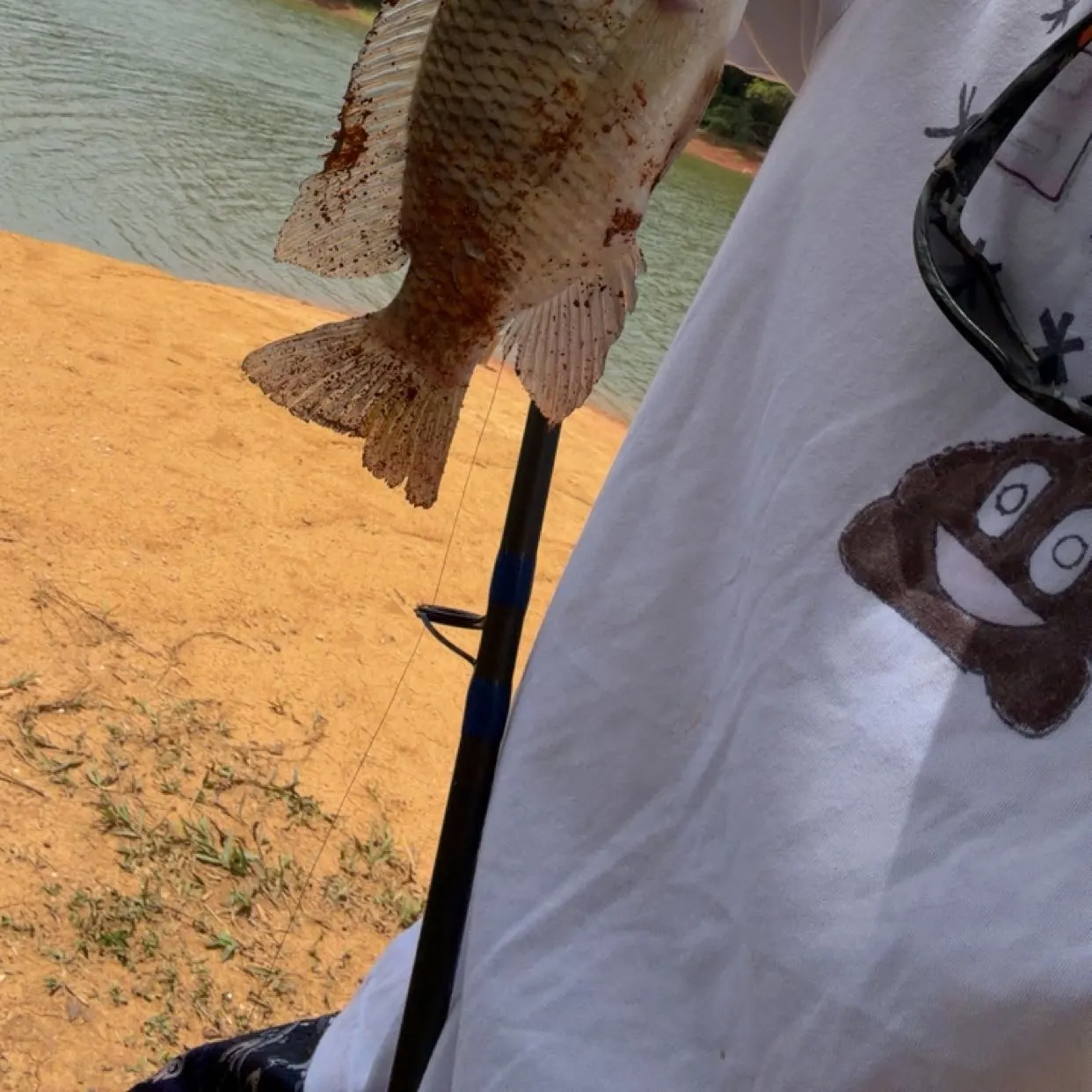 The most recent Redbreast tilapia catches on Fishbrain