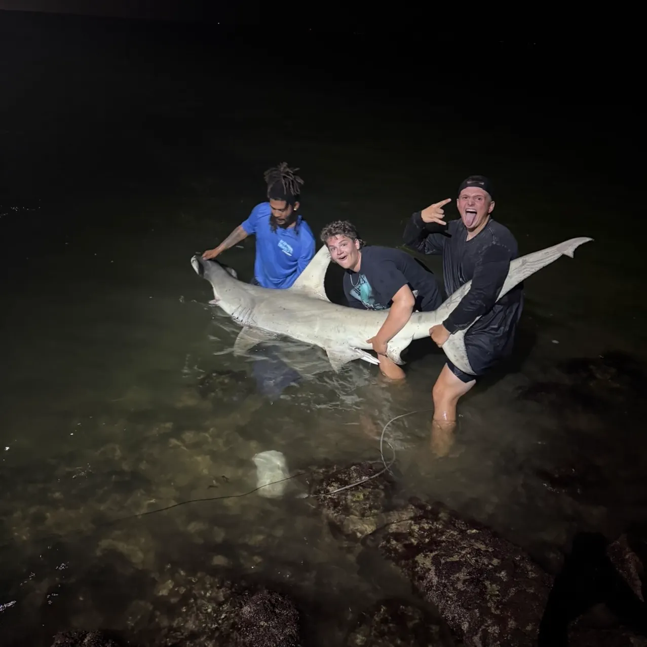 The most recent Great hammerhead shark catches on Fishbrain