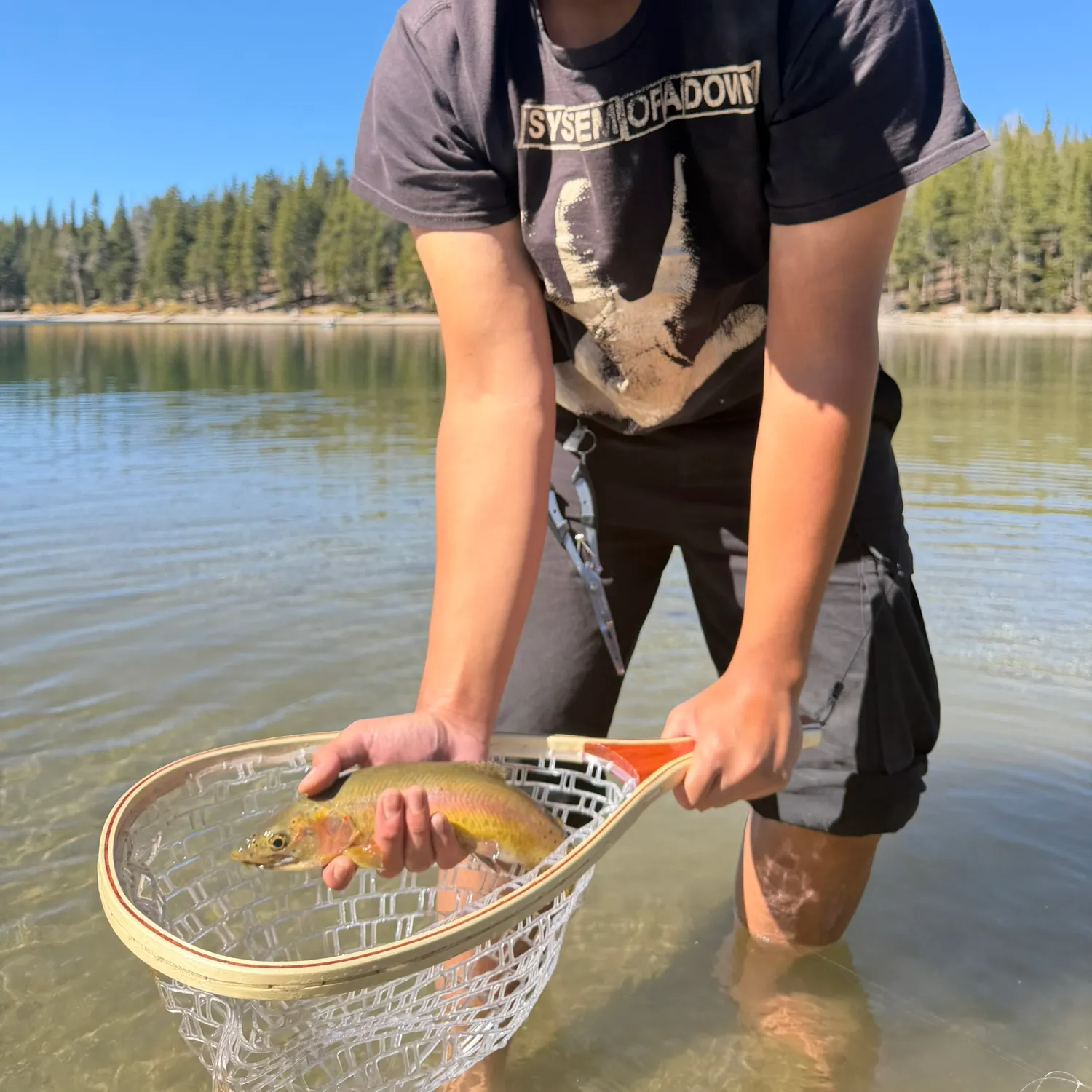 Lahontan cutthroat trout caught on Fishbrain
