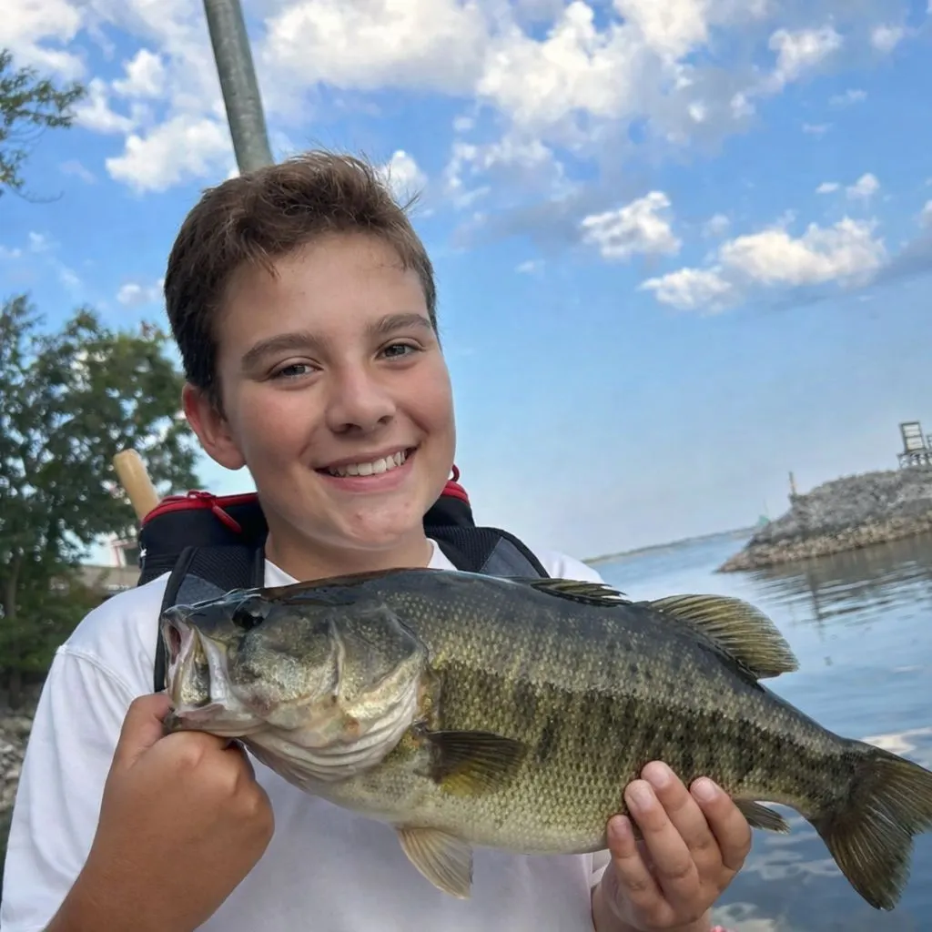 The most recent Meanmouth bass catches on Fishbrain