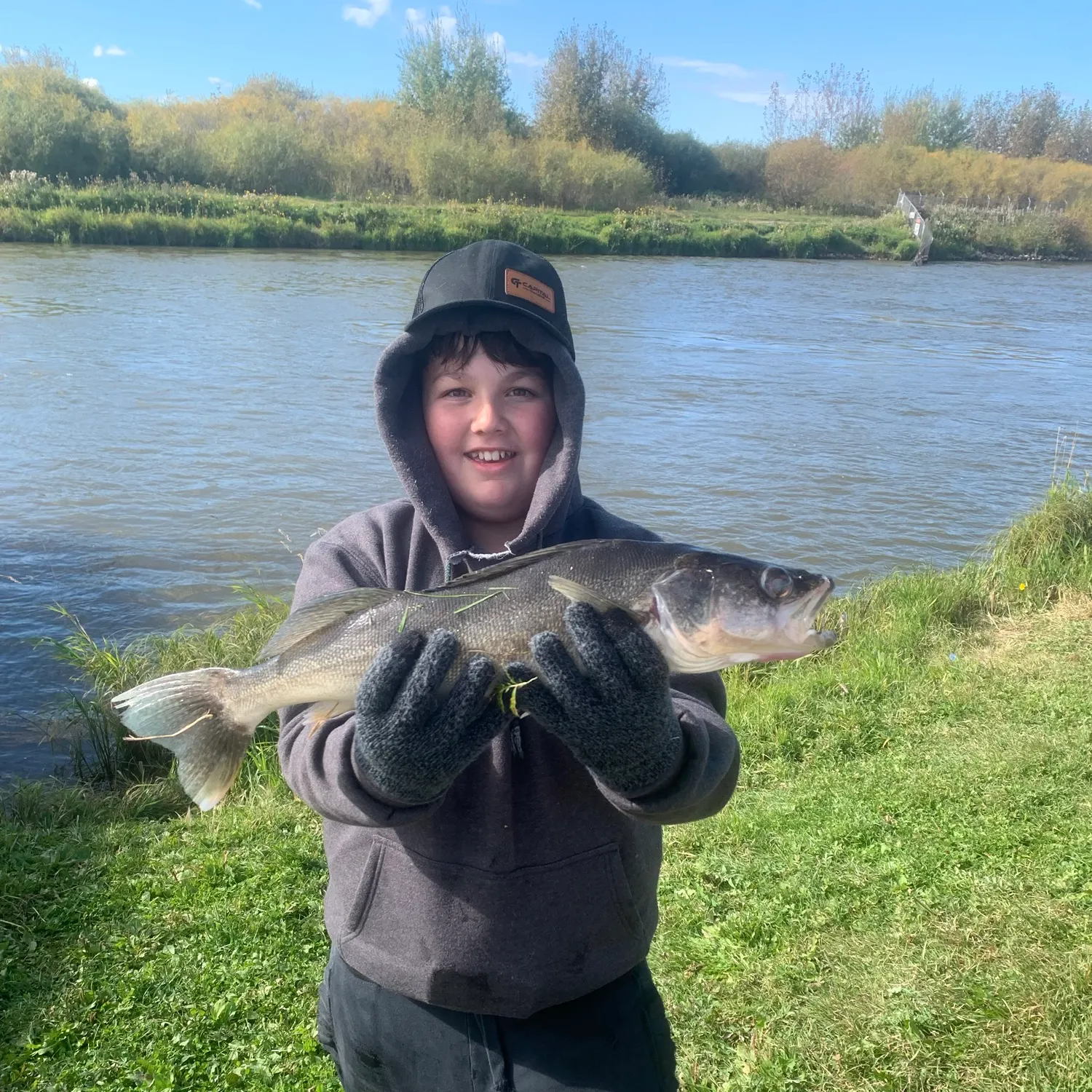Walleye caught on Fishbrain