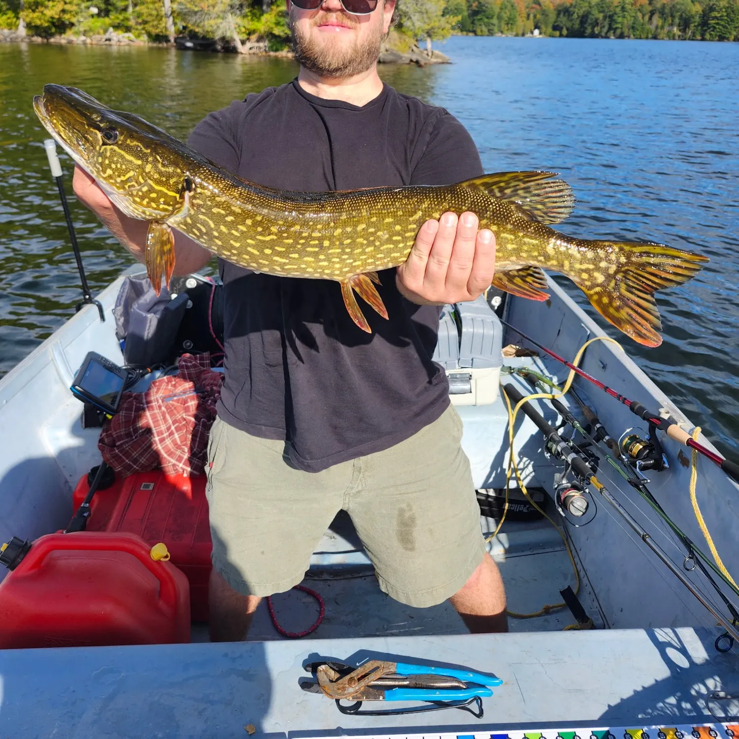 Fish caught on Fishbrain