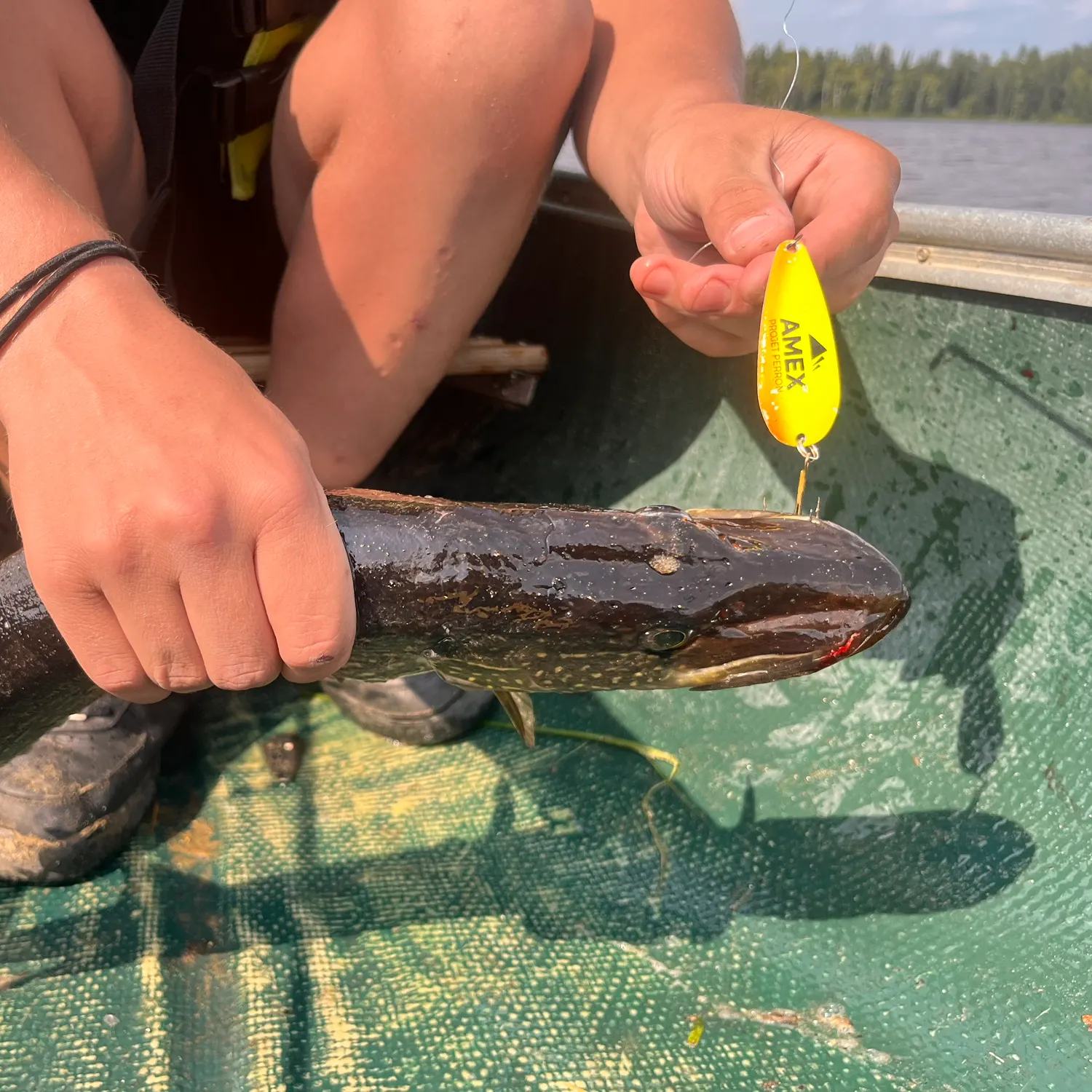 Northern pike caught on Fishbrain