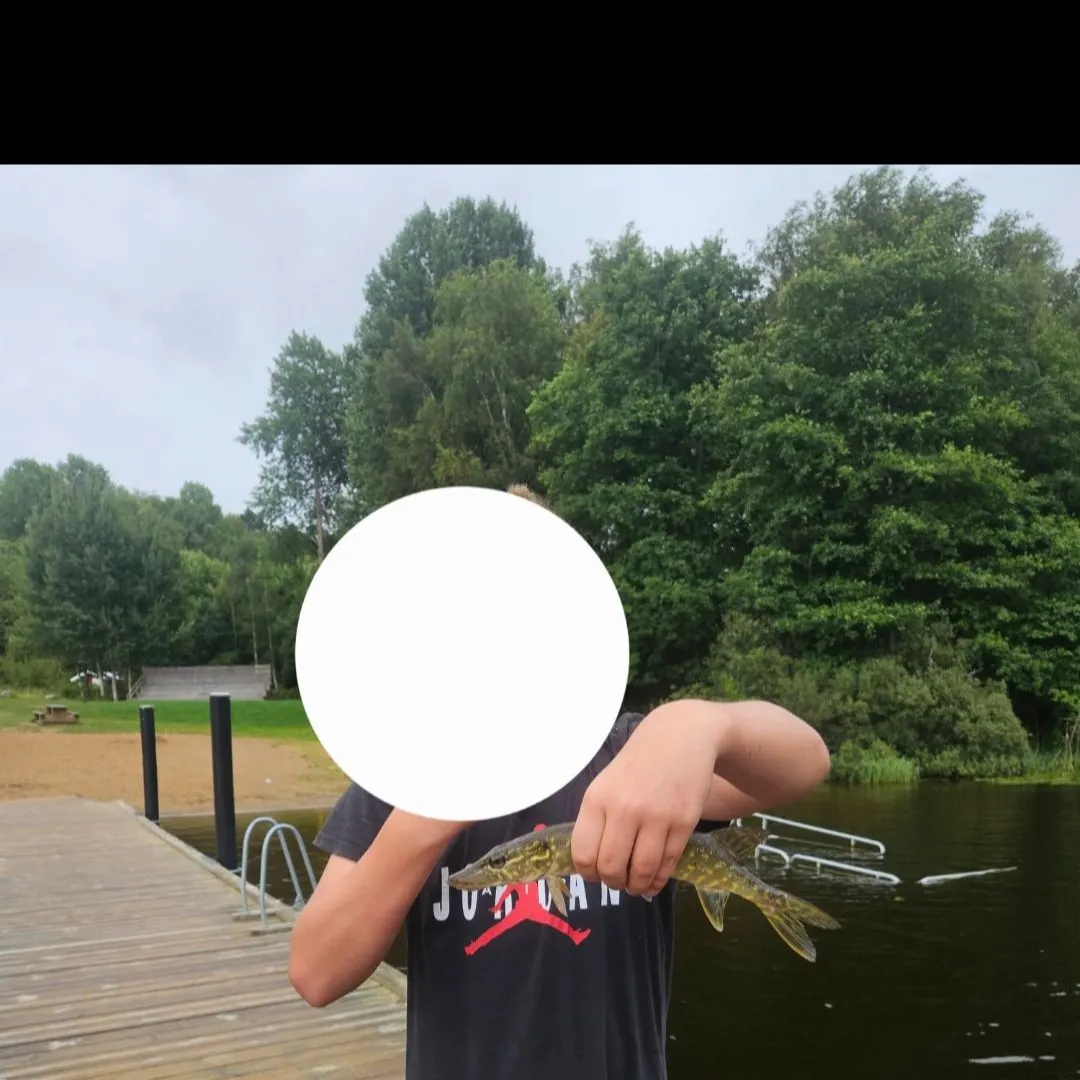 Northern pike caught on Fishbrain