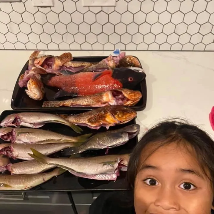 California sheephead caught on Fishbrain