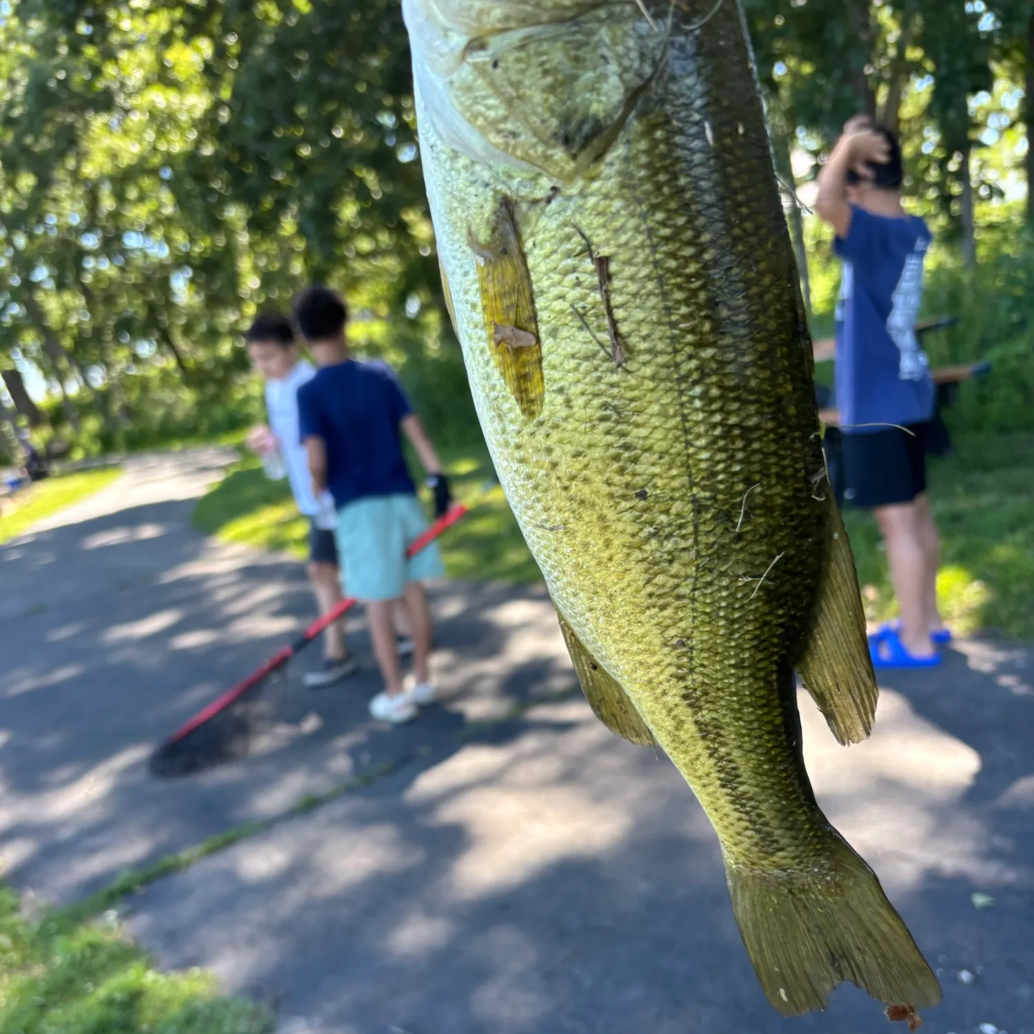 catch