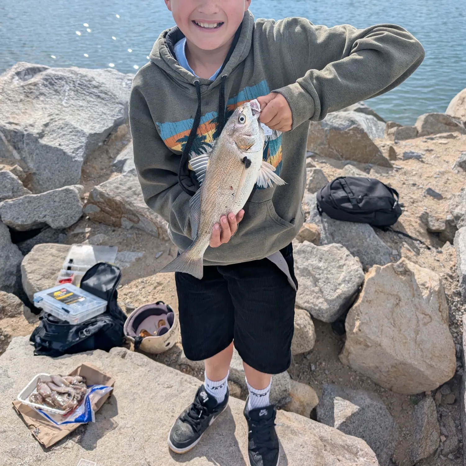 The most popular recent White croaker catch on Fishbrain