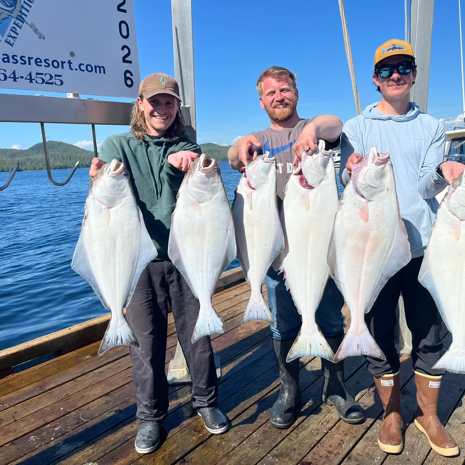 The most recent Pacific halibut catches on Fishbrain