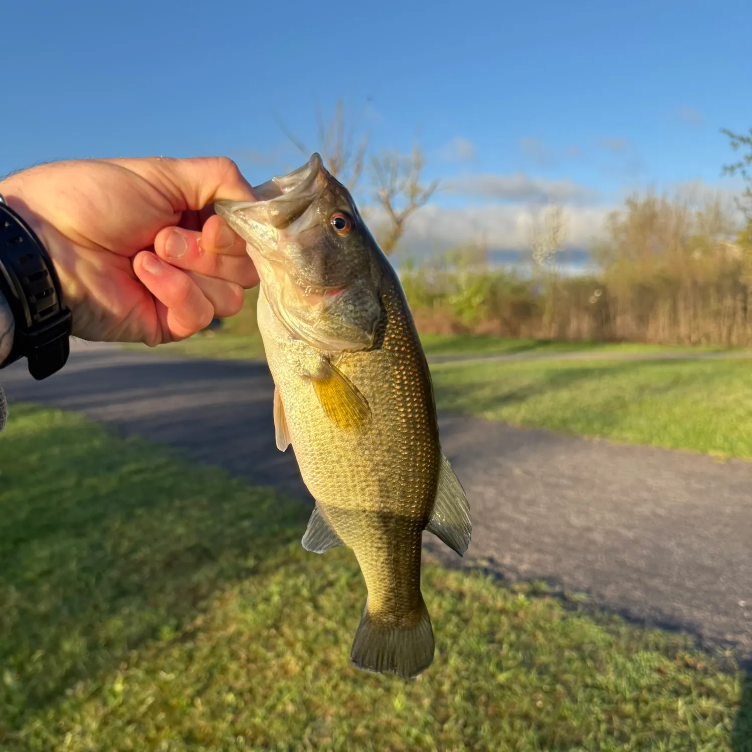 catch