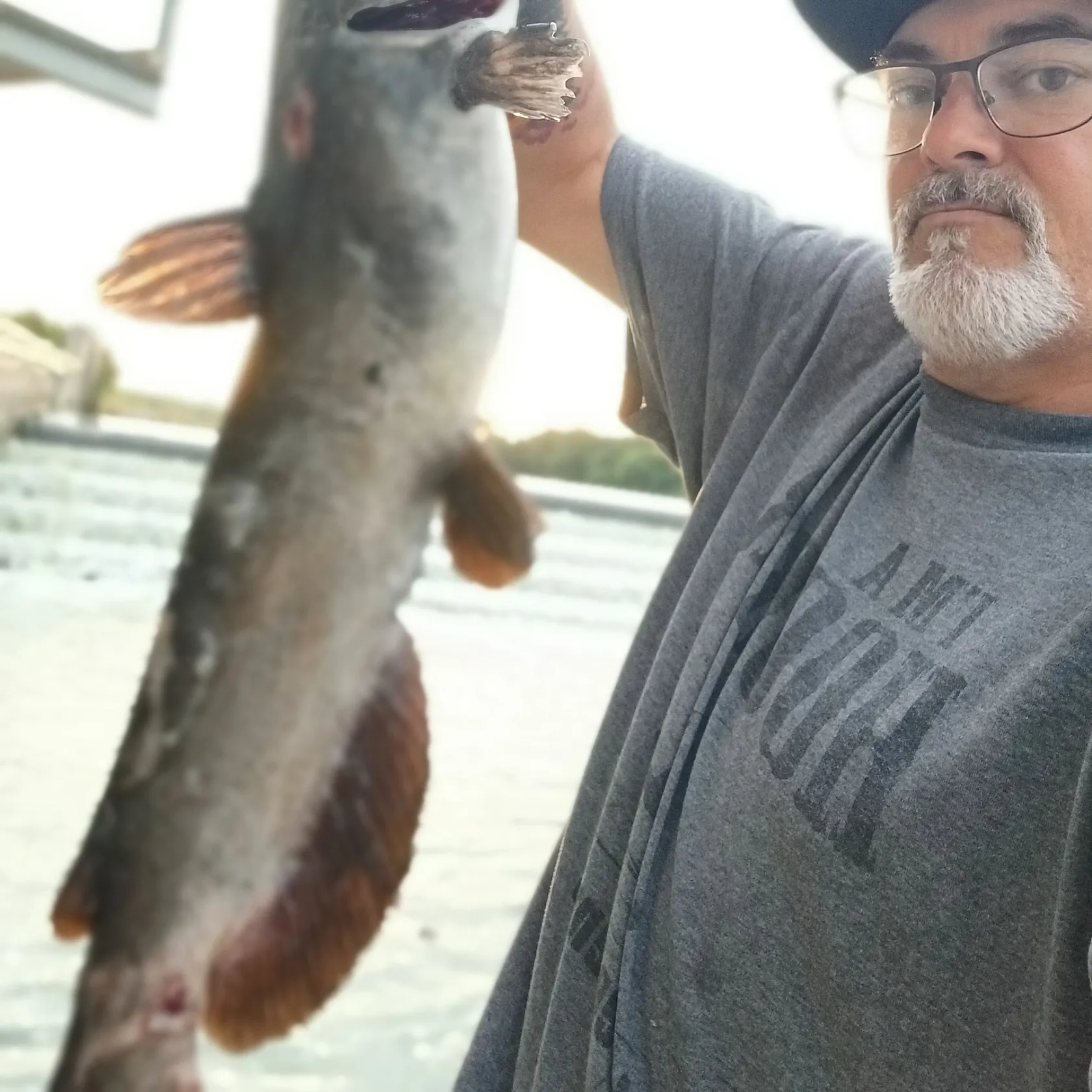 Channel catfish caught on Fishbrain