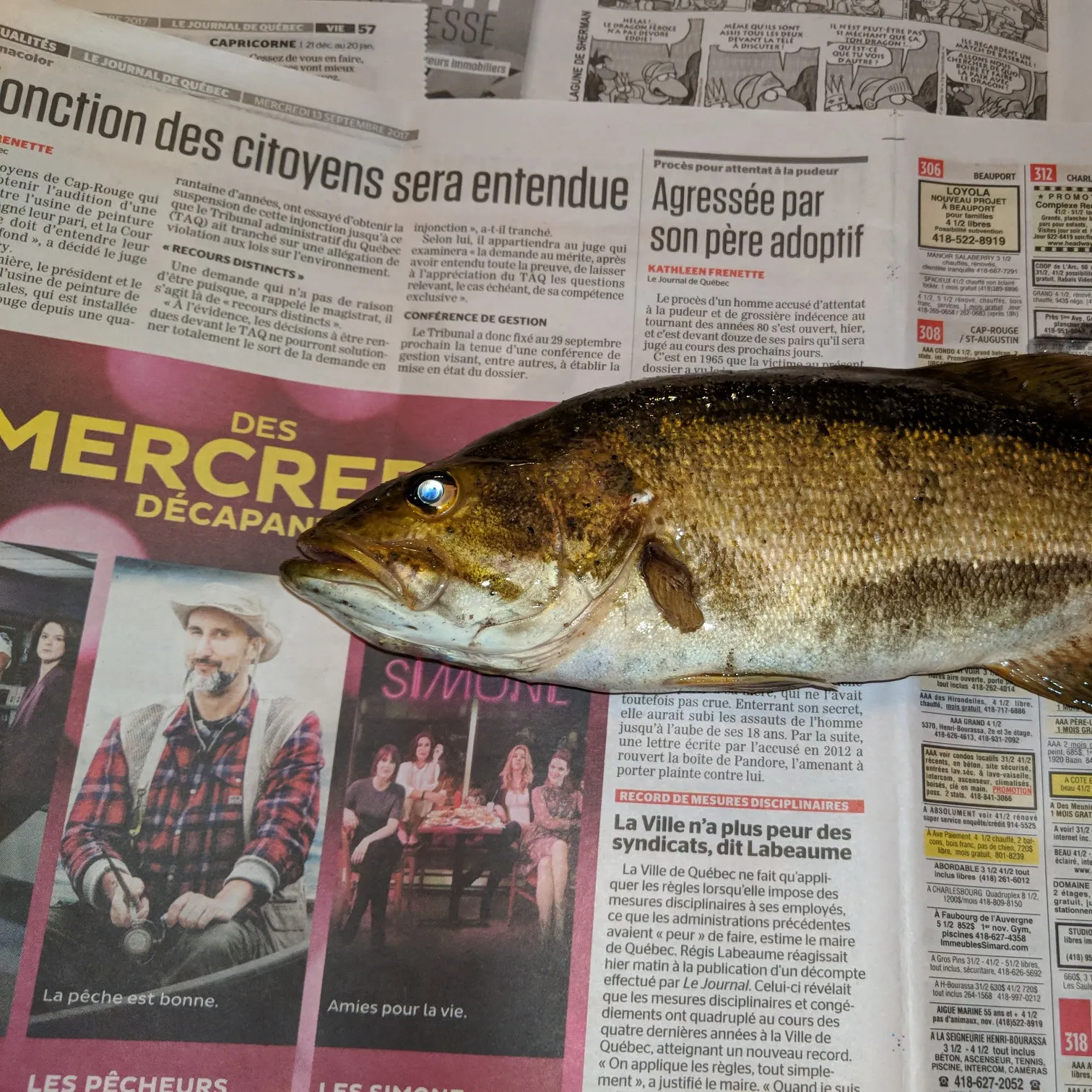 recently logged catches