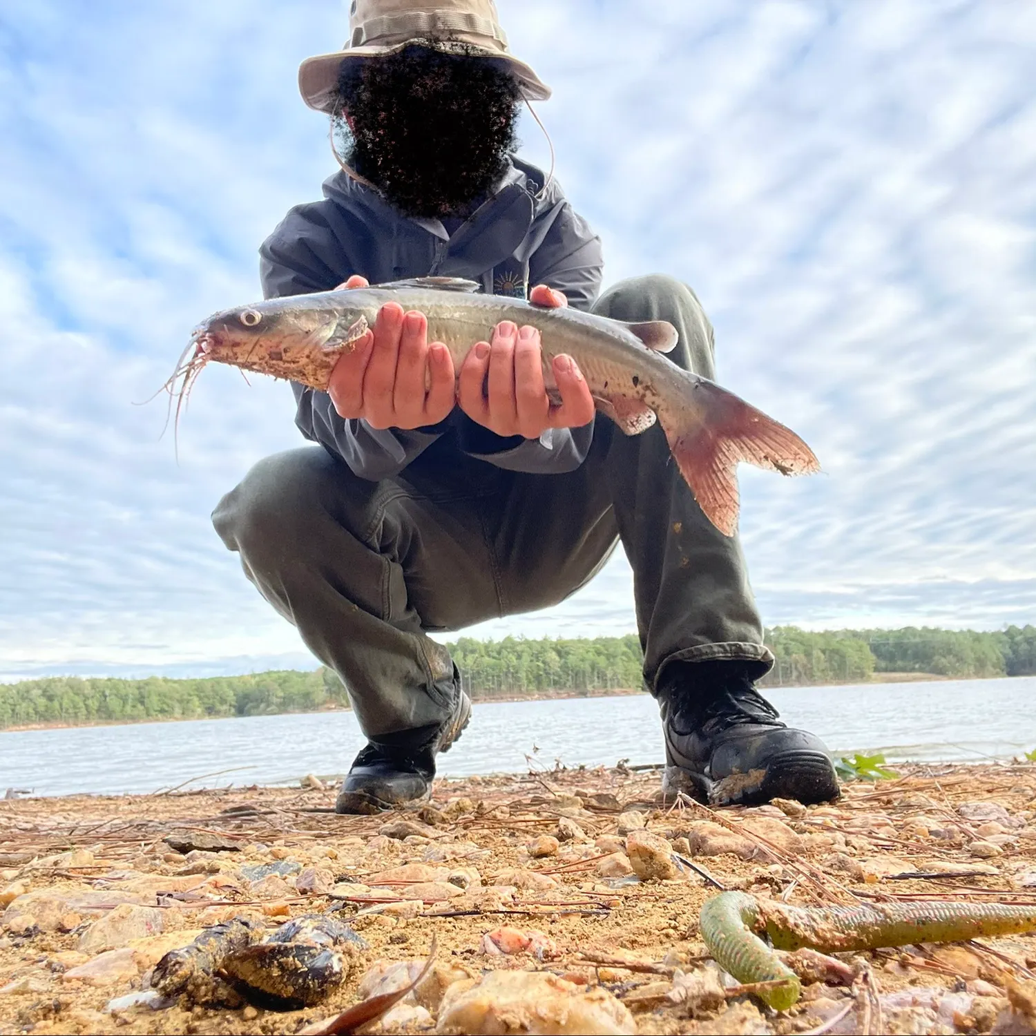 Channel catfish caught on Fishbrain