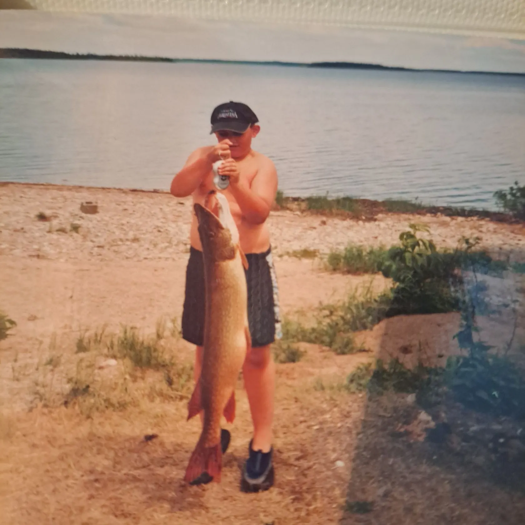 Northern pike caught on Fishbrain