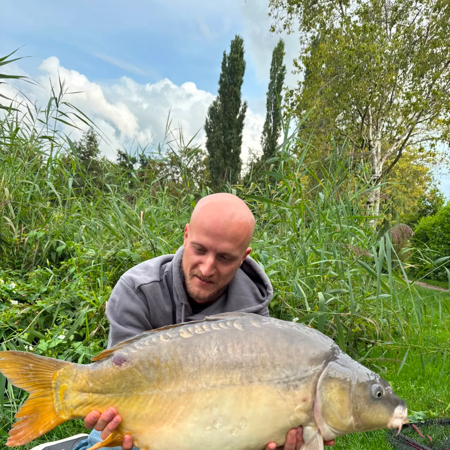 Leather carp caught on Fishbrain