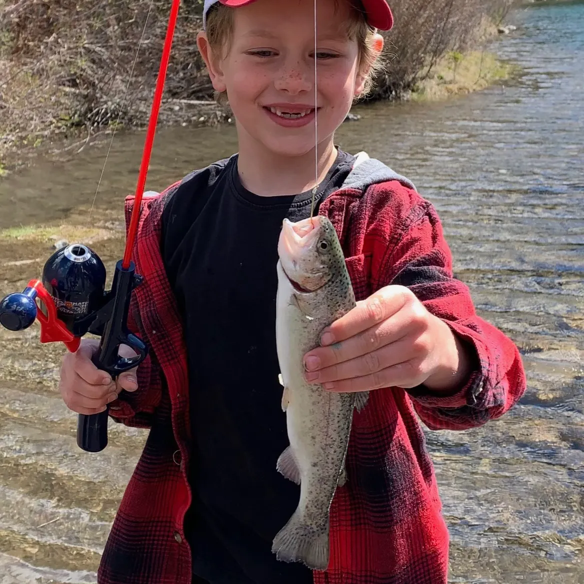 Rainbow trout caught on Fishbrain