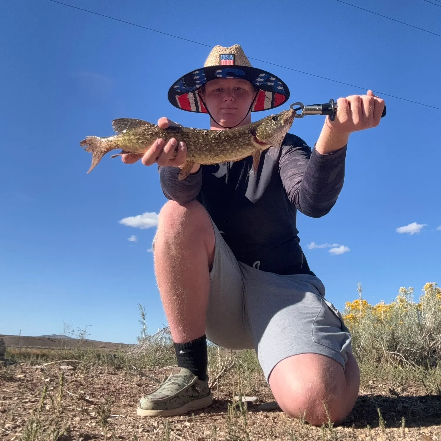 Northern pike caught on Fishbrain