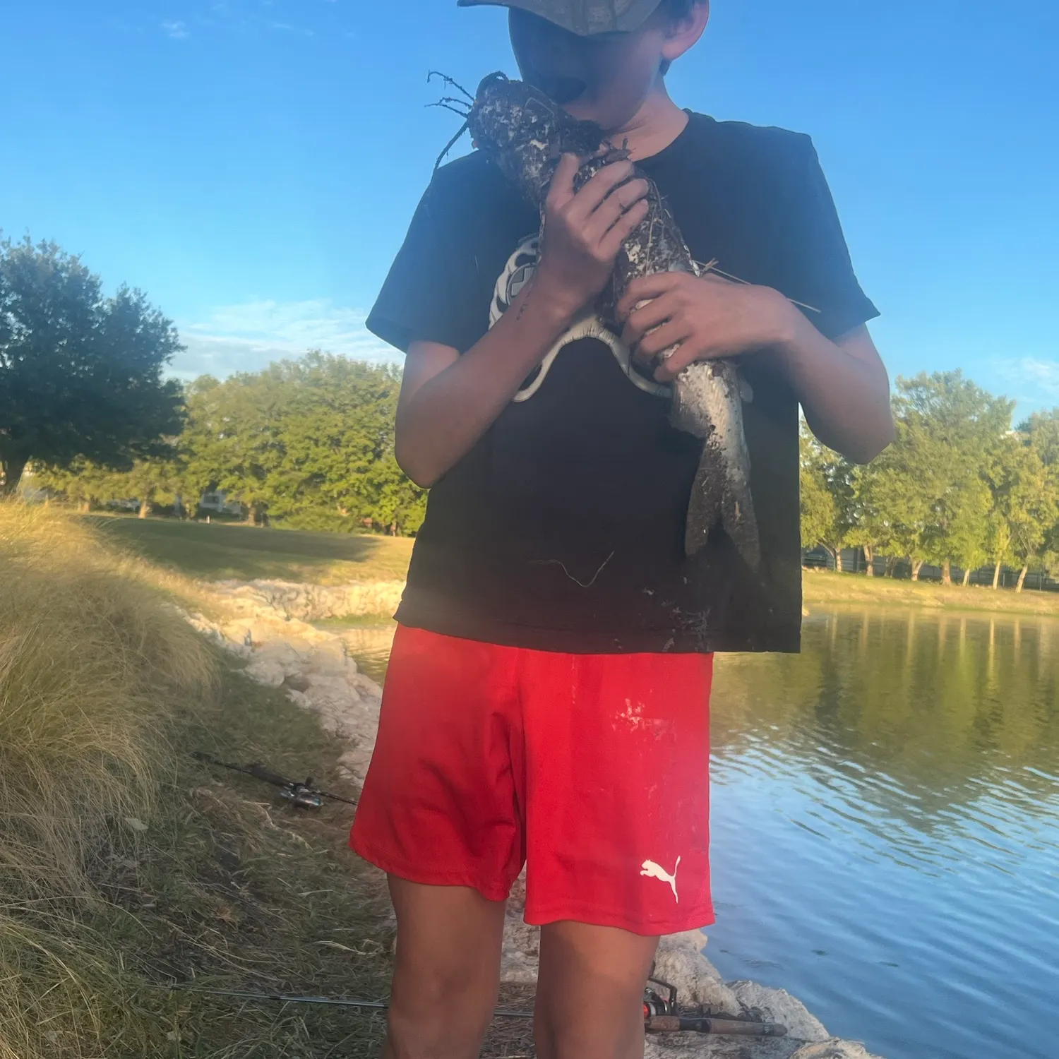 Channel catfish caught on Fishbrain