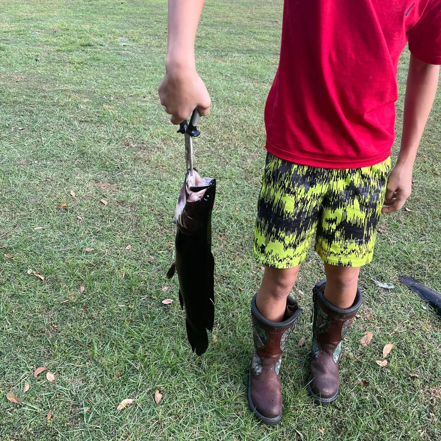 The most recent Ruddy bowfin catches on Fishbrain