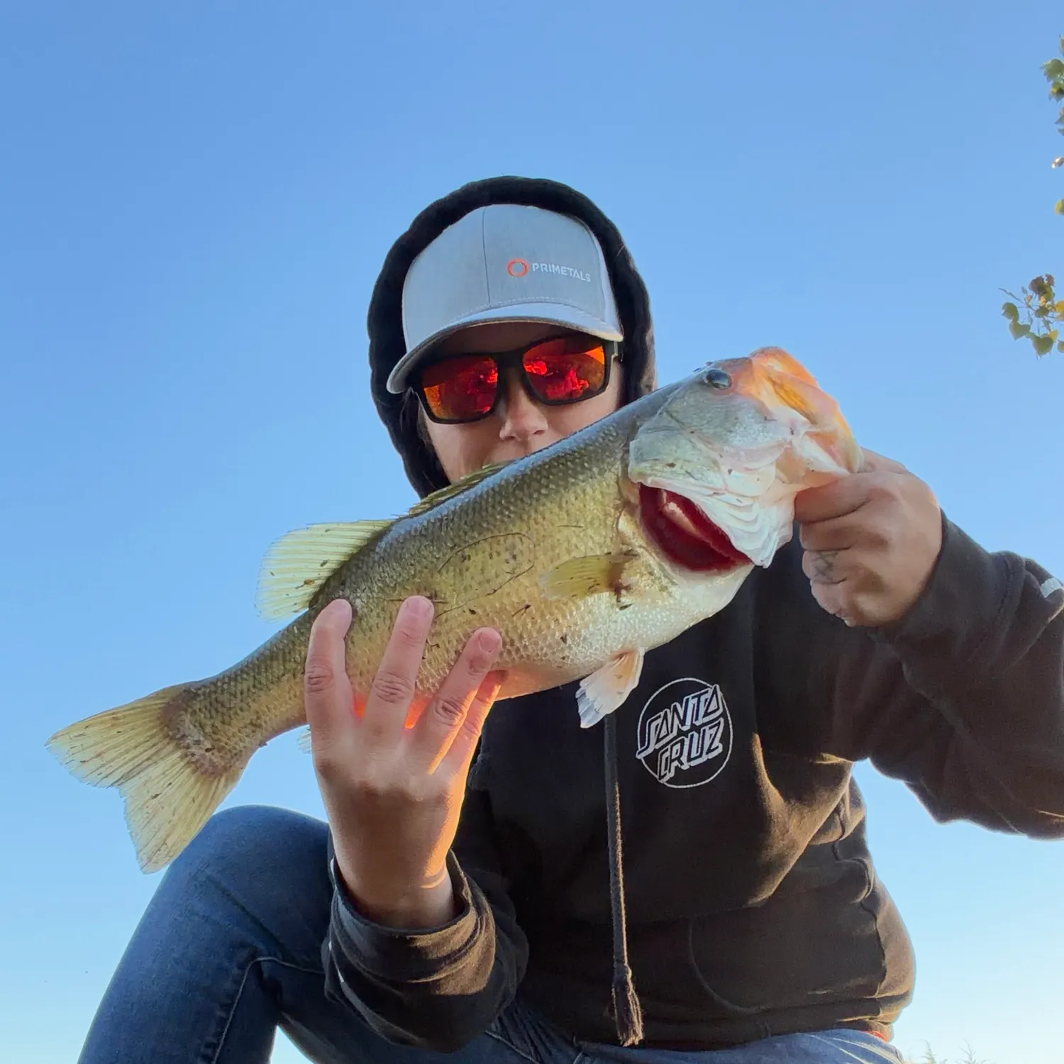 Largemouth bass caught on Fishbrain