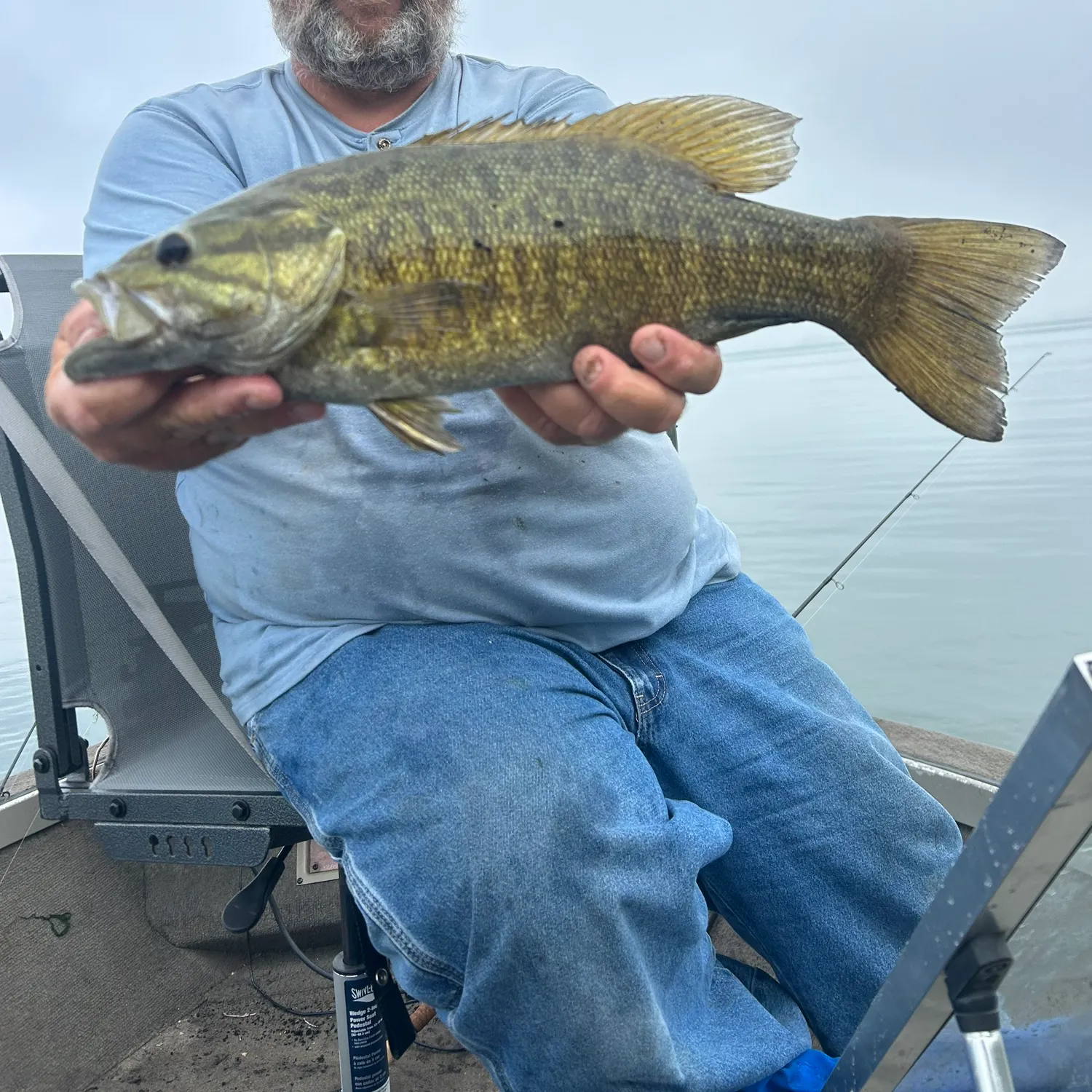 Smallmouth bass caught on Fishbrain