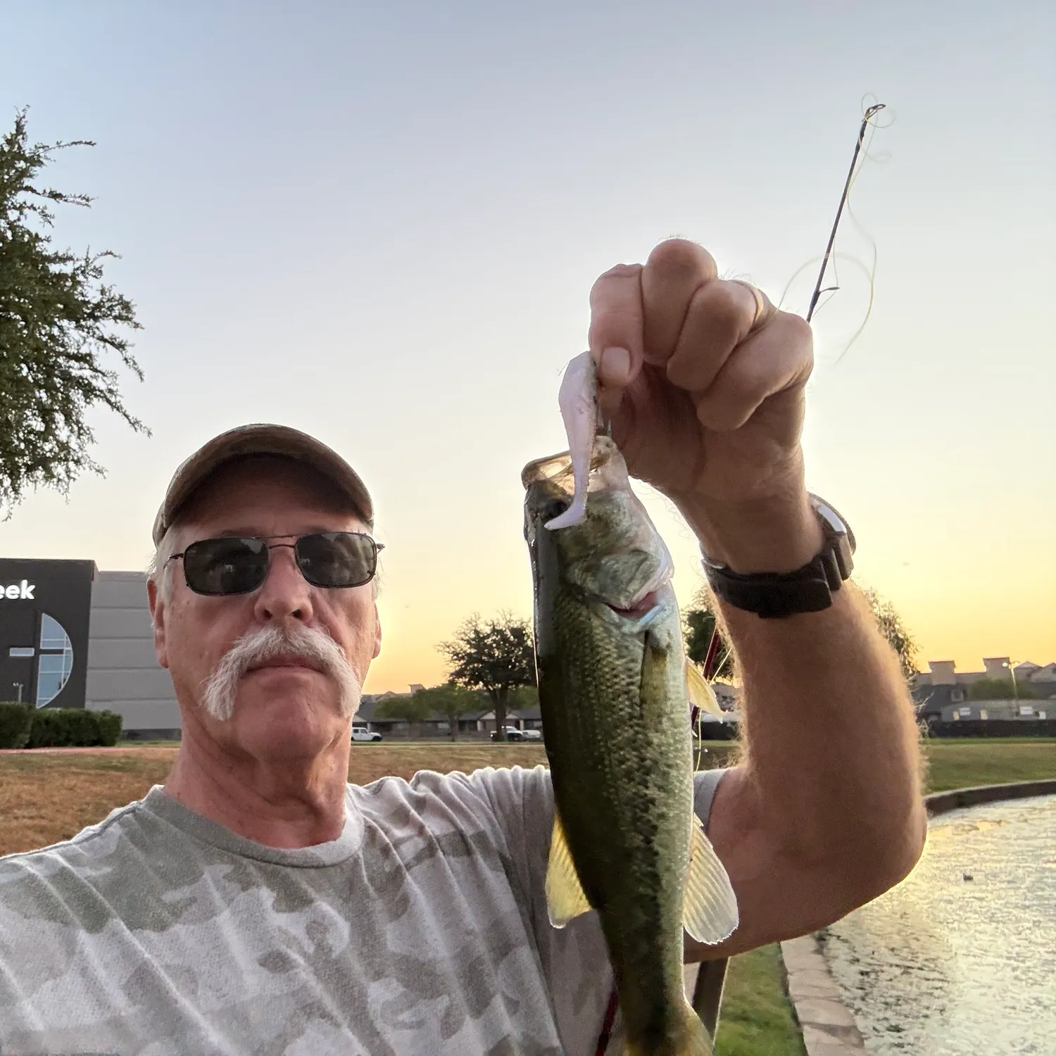 Largemouth bass caught on Fishbrain