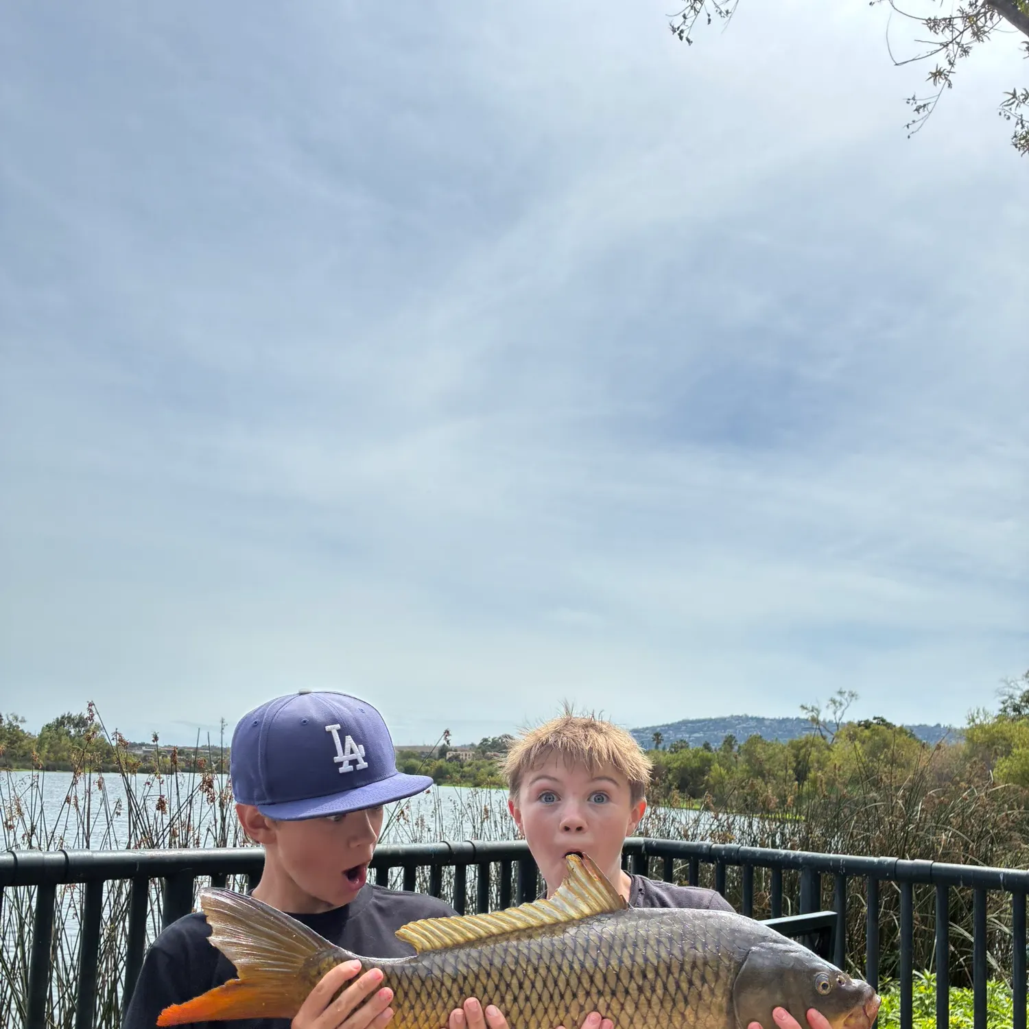 catch