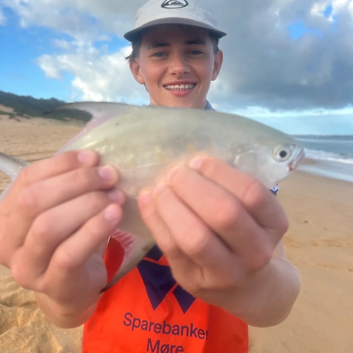 The most recent Largespotted dart catches on Fishbrain