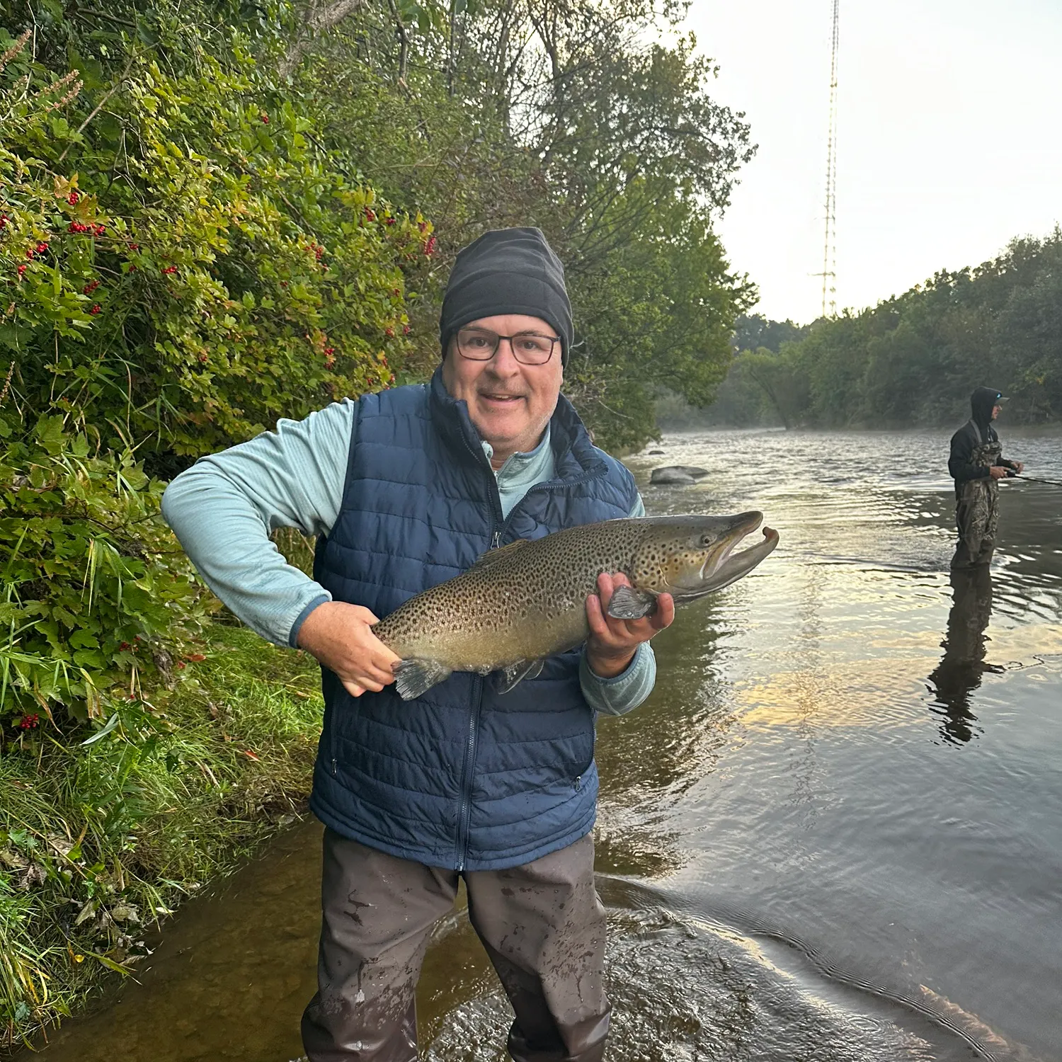 The most recent Sea trout catches on Fishbrain
